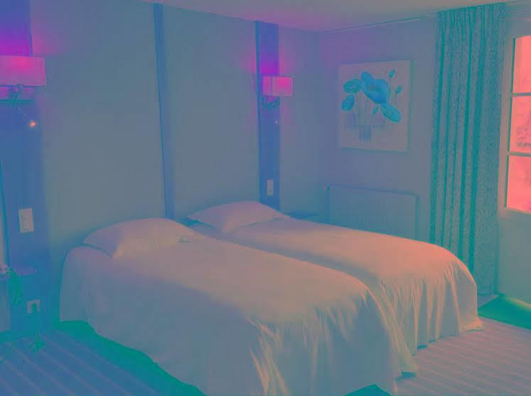 Logis Auberge De La Riviere Les Velluire-sur-Vendee エクステリア 写真